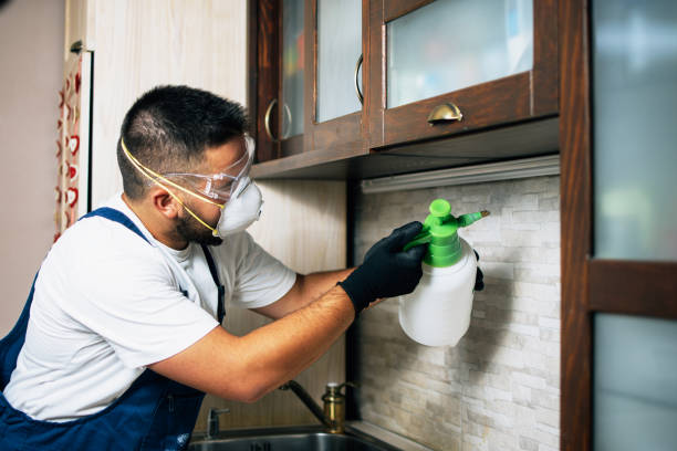 Professional Pest Control in West Liberty, KY