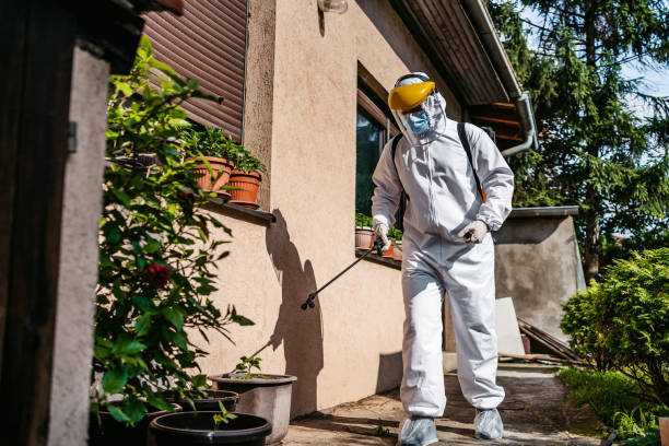 Best Affordable Pest Control Services  in West Liberty, KY