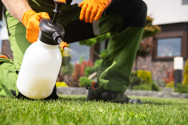 Best Mosquito Control Services  in West Liberty, KY