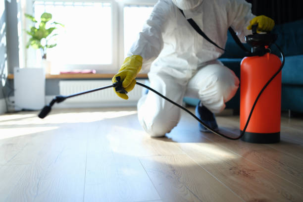 Best Best Pest Control Companies  in West Liberty, KY