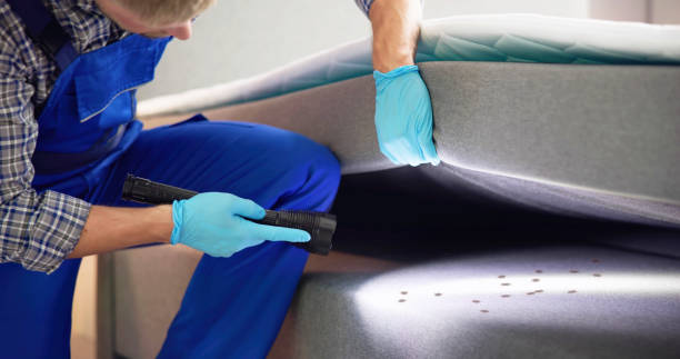 Best Flea Control Services  in West Liberty, KY