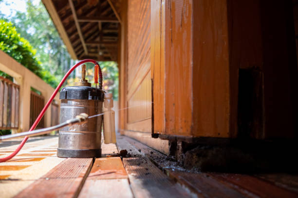 Best Affordable Pest Control Services  in West Liberty, KY