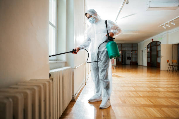 Best Termite Control Services  in West Liberty, KY