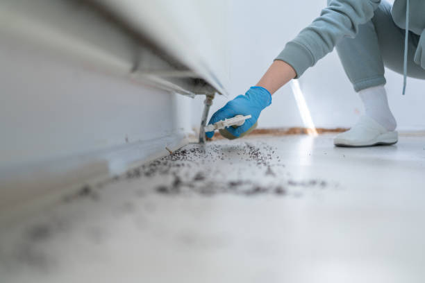 Best Emergency Pest Control  in West Liberty, KY