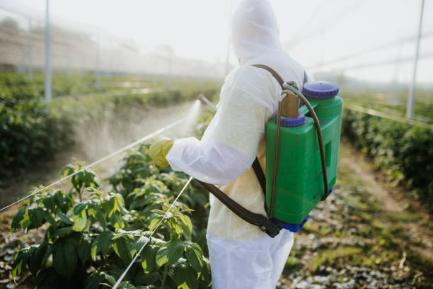 Pest Prevention Services in West Liberty, KY